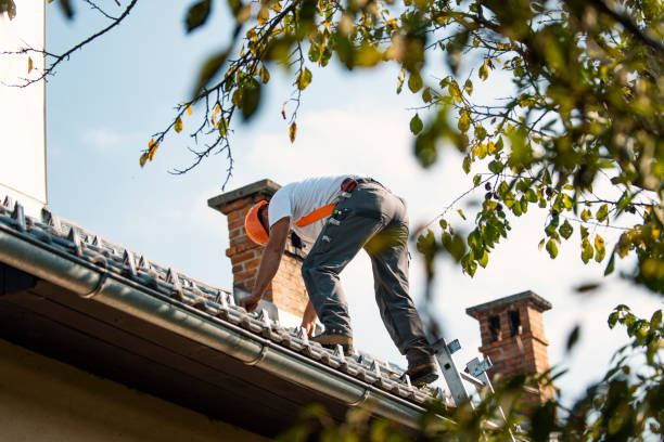 Best Flat Roof Repair Services  in Kingsport, TN