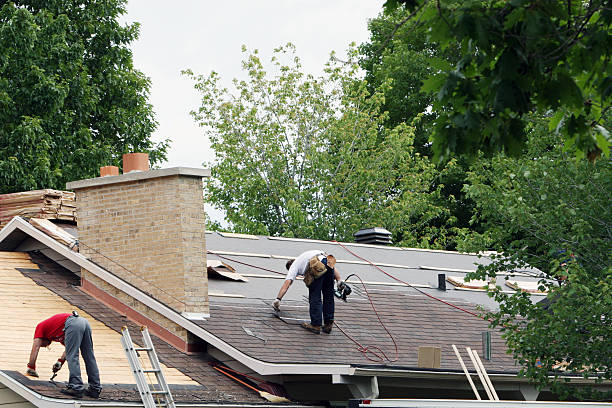 Roof Gutter Cleaning in Kingsport, TN