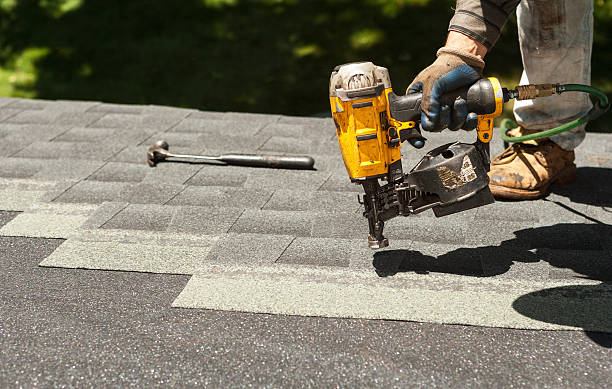 Best Roof Gutter Cleaning  in Kingsport, TN