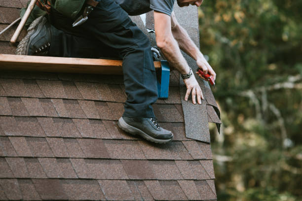 Best Storm Damage Roof Repair  in Kingsport, TN